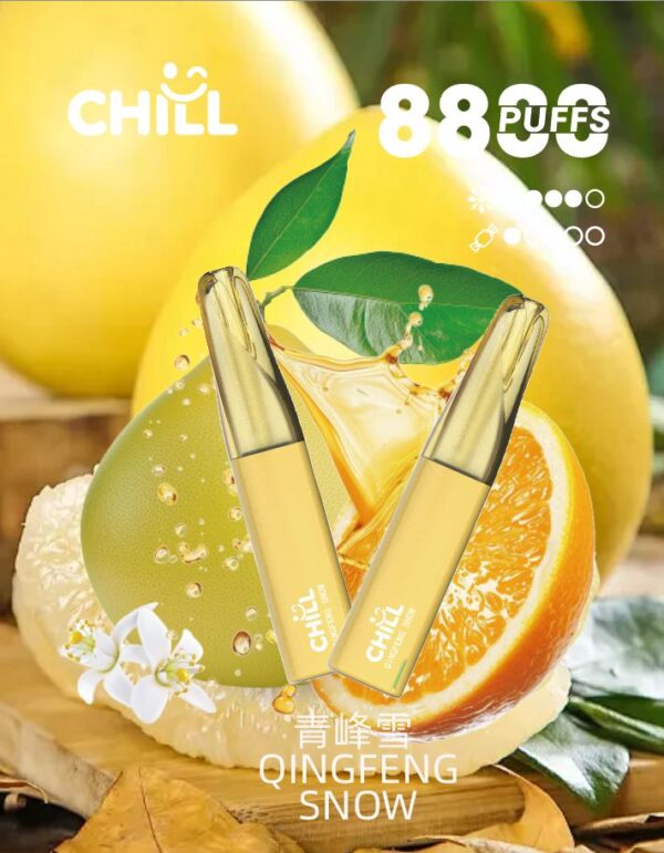 CHILL😉拋棄式8800口｜8ml大容量｜熱門爆款🔥